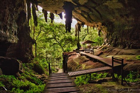 Taman Negara: A Journey Through Ancient Rainforests and Mystical Caves!