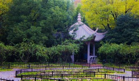 Zhongshan Park: Majestic Views and Tranquil Escapes